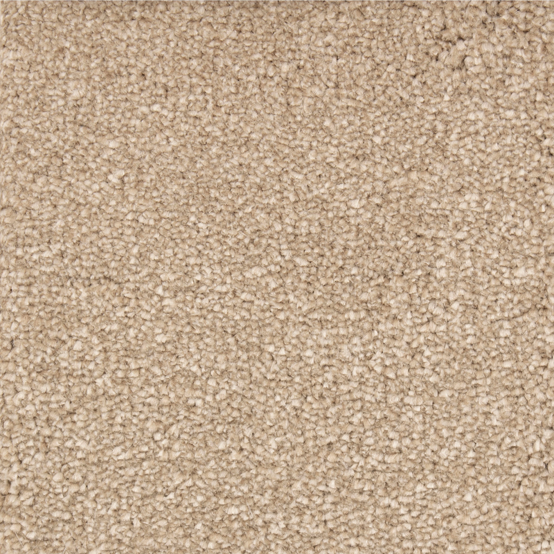 Seaton Valley Biscuit