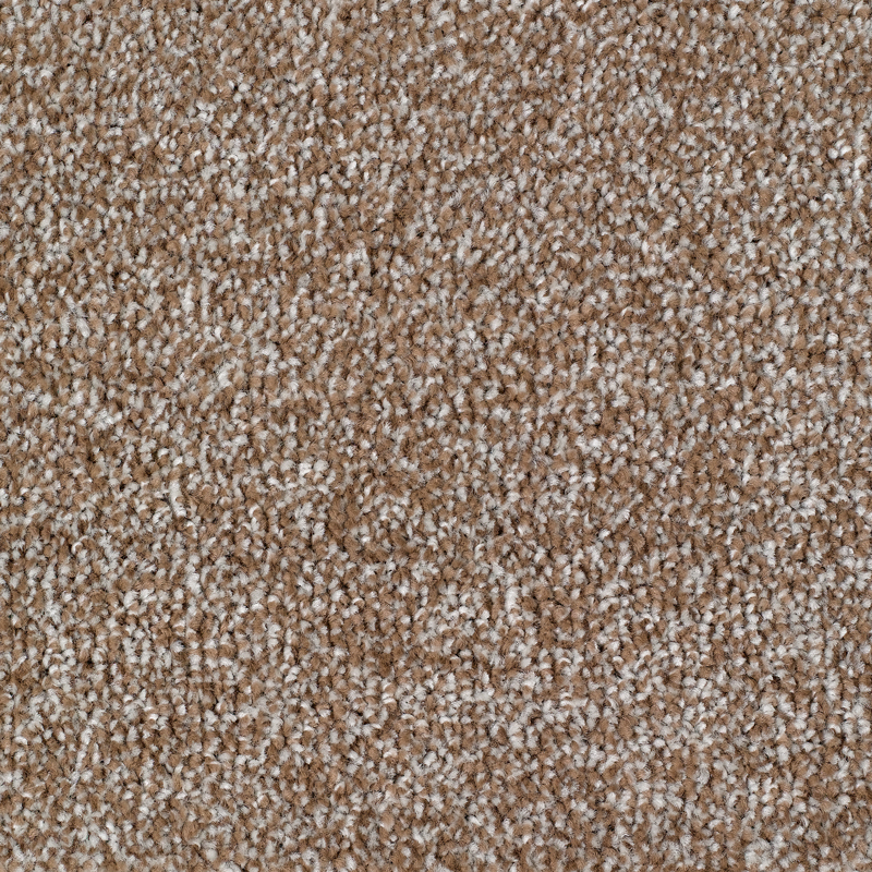 Carrick Cove Beige