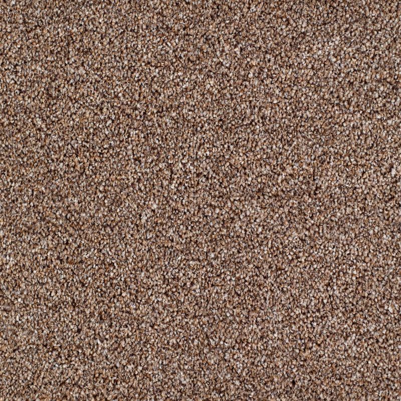 Salcombe Brown