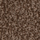 Kestrel